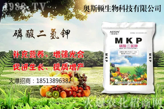 哪個(gè)品種的柚子更好吃,我國(guó)柚子產(chǎn)地及品種有哪些?