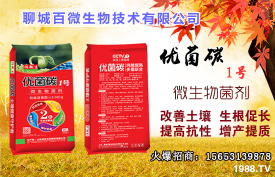 ��Ԫ����ʲô����������ȱ����ʲô�����ʲô�r���a����