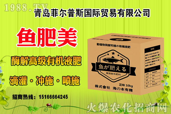玉米結實不好啥原因?有法補救嗎?玉米結實不良改善措施!