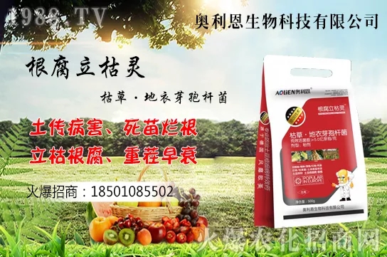 �S����ʲô����(ji��)�������S���˷Nֲ������B��