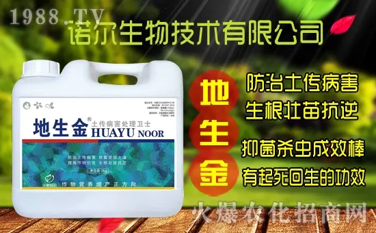 �S���˷N����ô�ɼ����S���˷N��r(ji��)������X(qi��n)һ����