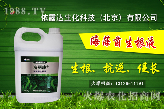 �J��������ЩƷ�N���J���Һ��殐����ʲô�^(q��)�e��