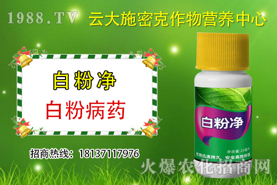 ʲô��ֲ��Դ�r(n��ng)ˎ��ֲ��Դ�r(n��ng)ˎ�c���W(xu��)�r(n��ng)ˎ�^(q��)�e���ģ�