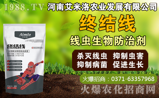 ���ҵĹ�Ч�c���������Һ�܇������ʲô�^(q��)�e��