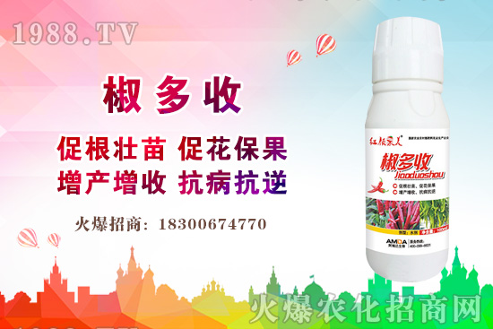 С���r(ji��)������Xһ�2020�����С���r(ji��)��߀��(hu��)�ϝq����