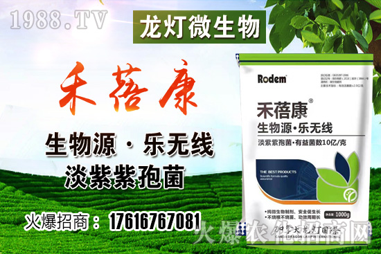 ���t���ڷ۷����������t��¶��ʹ���Nֲ�кβ�ͬ��