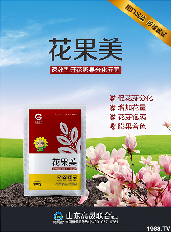     ������-������