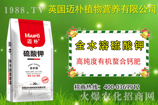  �������ʲô����������������Щ����������⛵�ʩ�÷���