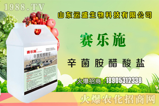 �����Ә���ڷ۷����������Ә���ζ�������