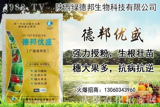 �����r������Xһ������Nֲ�ĭh(hu��n)�������x������