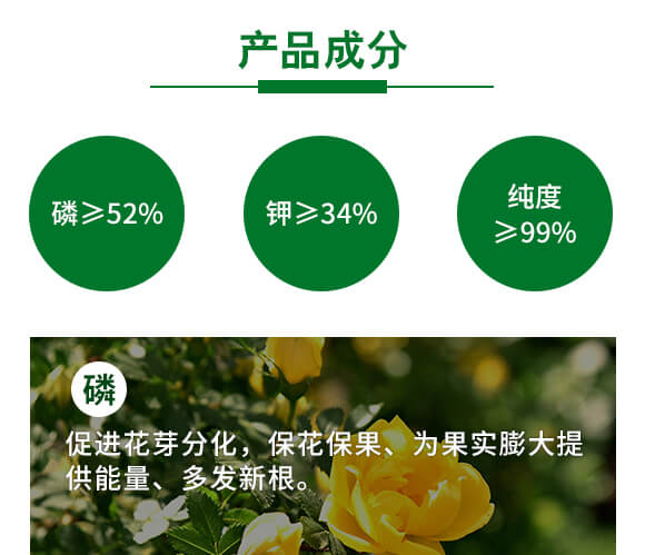 400g��������-Ӣ����_03