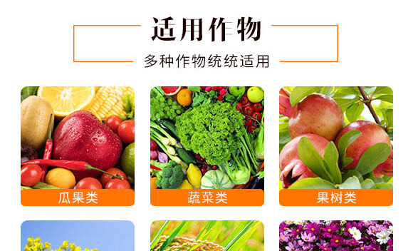 糖醇鋅-英爾果_06