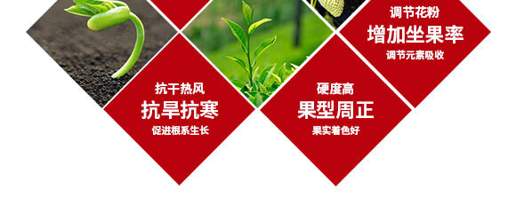 240g懸浮硅鉀-英爾果_05