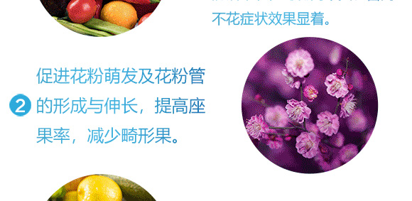 懸浮硼鋅-英爾果_05