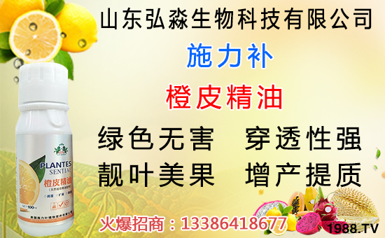 水蜜桃是硬的好還是軟的好？水蜜桃挑選方法及儲存竅門！