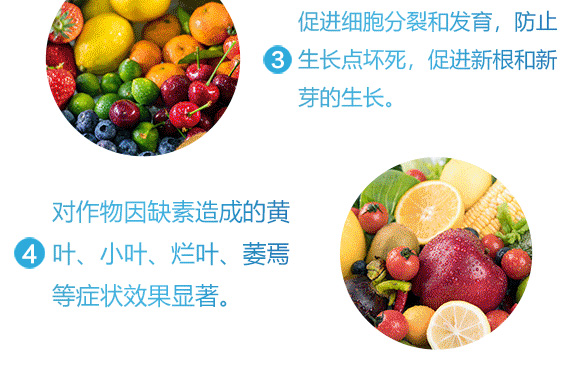 懸浮硼鋅-英爾果_06