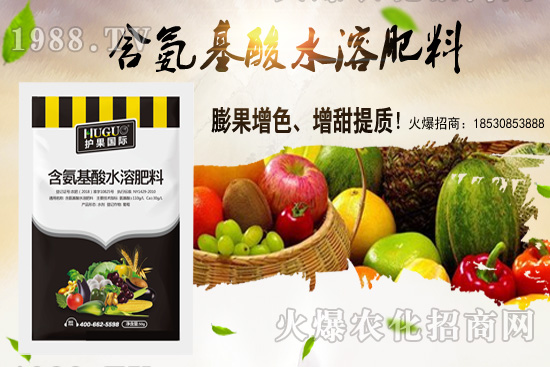 �|���m����ʲô����(ji��)�������|������M�зNֲ��