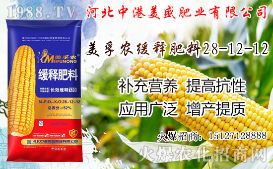 �O���������������ô���£��O�������ڼ���ժ�������