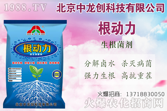 ���}���������������Щ�����}��ʩ�ʼ��g(sh��)Ҫ�c(di��n)��