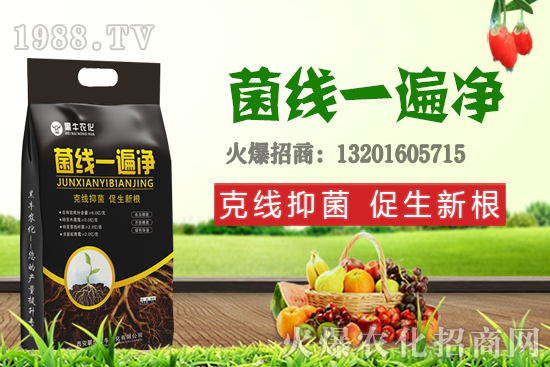 9月19日小麥價格更新，漲跌互現(xiàn)！