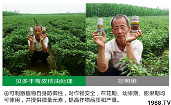 ��Ƥ��������-ؐ���S