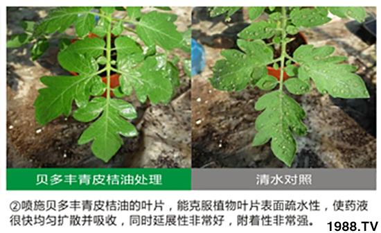 ��Ƥ��������-ؐ���S