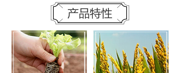 �����r(n��ng)��ጷ���28-12-12-�и���ʢ_04