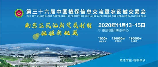 ȫ��ֲ���p����