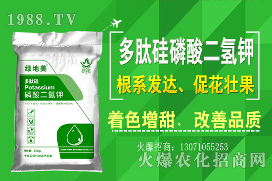 �۲˵ă�(y��u)��Ʒ�N����Щ���۲˷Nֲ���L(zh��ng)�h(hu��n)�������Nֲ���g(sh��)��