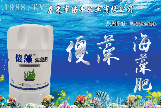 市場(chǎng)逐步回歸正;久妫蠖箖r(jià)格沖高回落!