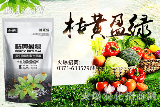 十月即將到來,麥價能漲多少?9月29日小麥價格走勢!