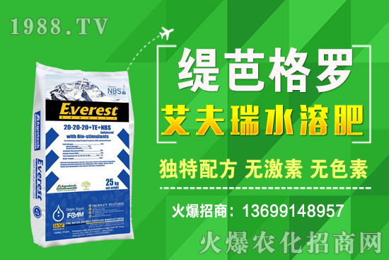 С���r(ji��)��q����ʮ��С�������A(y��)�y��