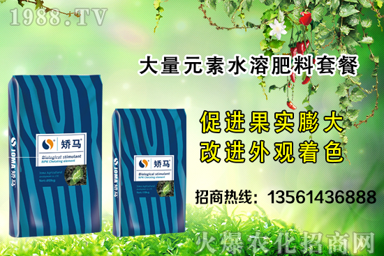 �＾����ʩ�ʵĺ�̎����Щ���＾����ʩ��ָ��(d��o)������