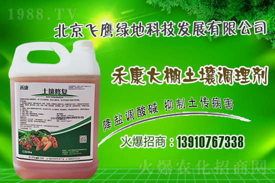 紫皮大蒜怎么種植?紫皮大蒜高產(chǎn)栽培技術!