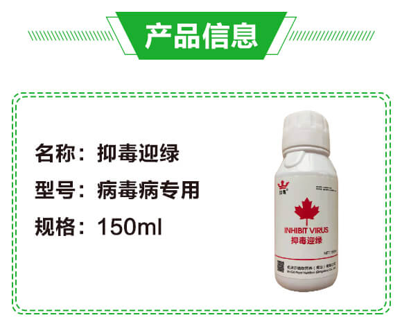 �ֶ�ӭ�G�����β�������-�G��_02