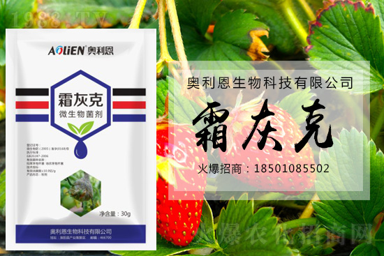 ������ݮ�װl(f��)��ù�����A(y��)����ʩ��ô����