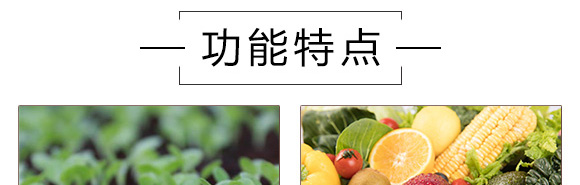 ֲ�￹��������-Ӣ���~��_05