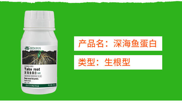 生根型深海魚(yú)蛋白-貝多豐_02