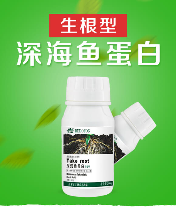 生根型深海魚(yú)蛋白-貝多豐_01