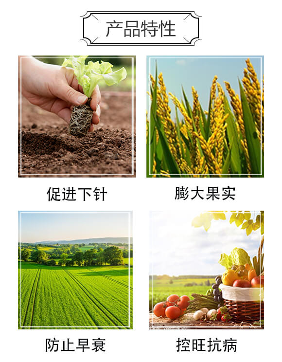 15%��Ч��+20%���ѡ������f-�������ֶ�-���䌍�I(y��)_03