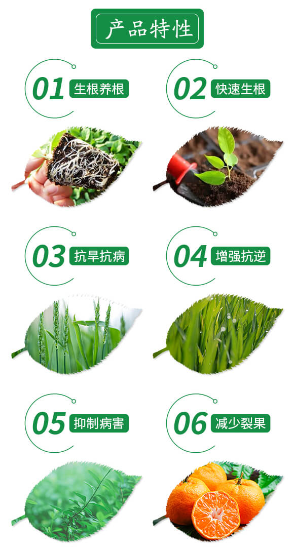 礦源黃腐酸鉀酵菌素-艾爾根多-倍富特農(nóng)化_03