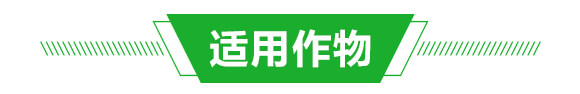 礦源黃腐酸鉀+復合活菌-豐隆礦源-億豐隆_04