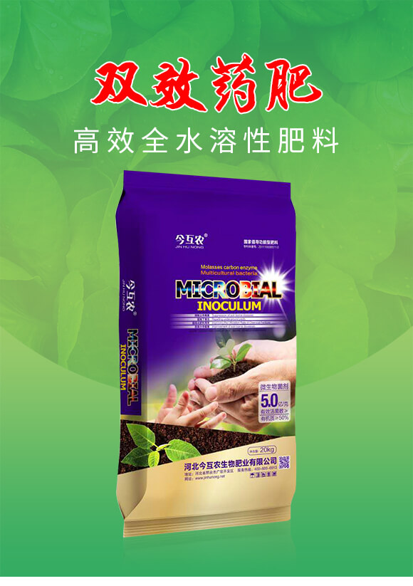 �pЧˎ��-���r(n��ng)_01