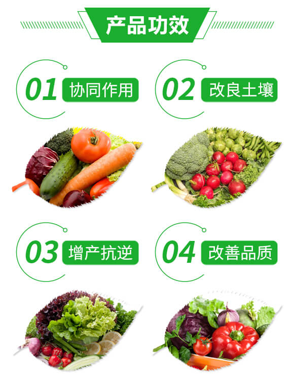 礦源黃腐酸鉀+復合活菌-豐隆礦源-億豐隆_03