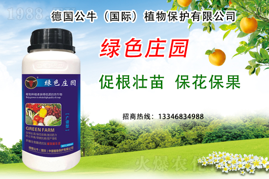 ��ݮ��ɫ������������Щԭ������ݮ��ɫ������ԓ��α�����