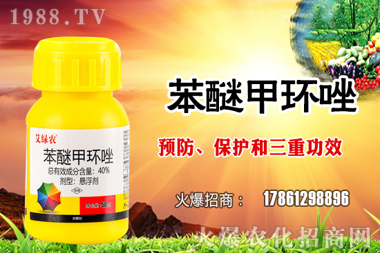 ����������x�����׷N�������׷NֲҪע����Щ���}��