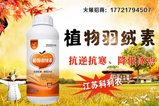 �����׷Nֲ�ܶ���ΰ�����������ʩ�ʼ��к��ڹ�����