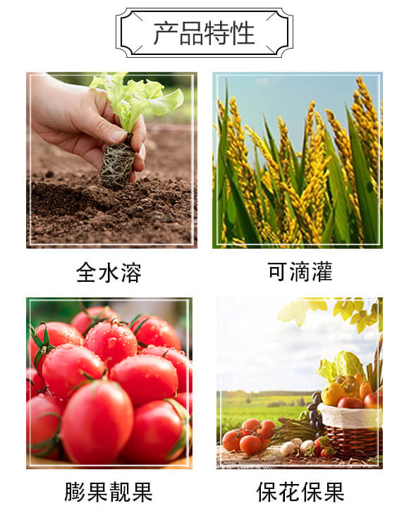 高濃度硫酸鉀復(fù)合肥料17-17-17-聚能·澳金丹-中農(nóng)科達_02