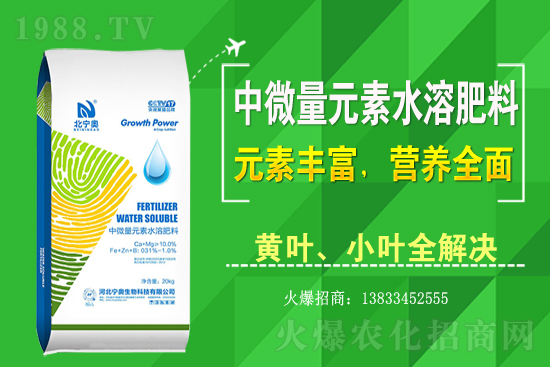 �S����ԓ��ô�Nֲ���S���˷Nֲ�^����ע����Щ���}��