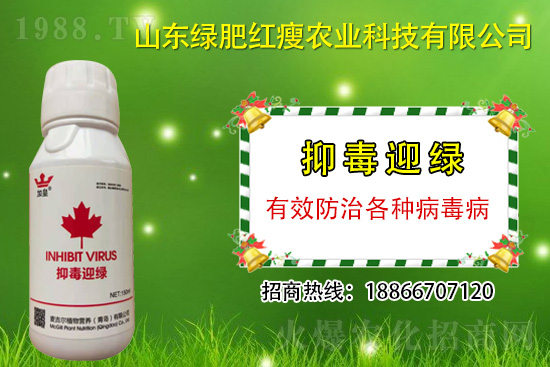 ���β�������Ҳ���ð������ֶ�ӭ�G�����β�������